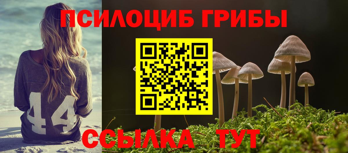 сколько стоит  Галлюциногенные грибы Psilocybe  Вход с VPN  Шатура 